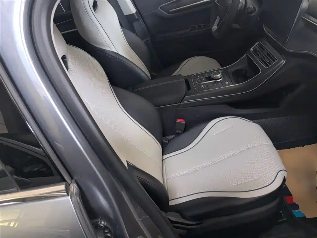 BYD Destroyer 05 2024 Glory Edition DM-i 55KM Luxury фото 20