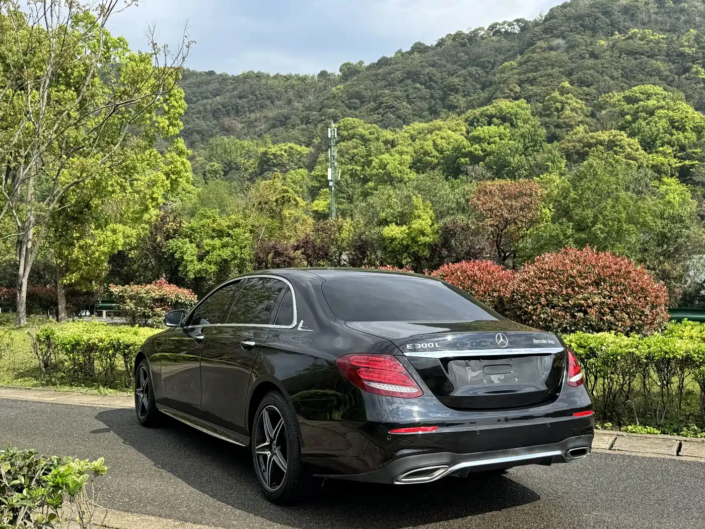 Mercedes-Benz E-Class 2020 Facelift E 300 L Exclusive фото 4