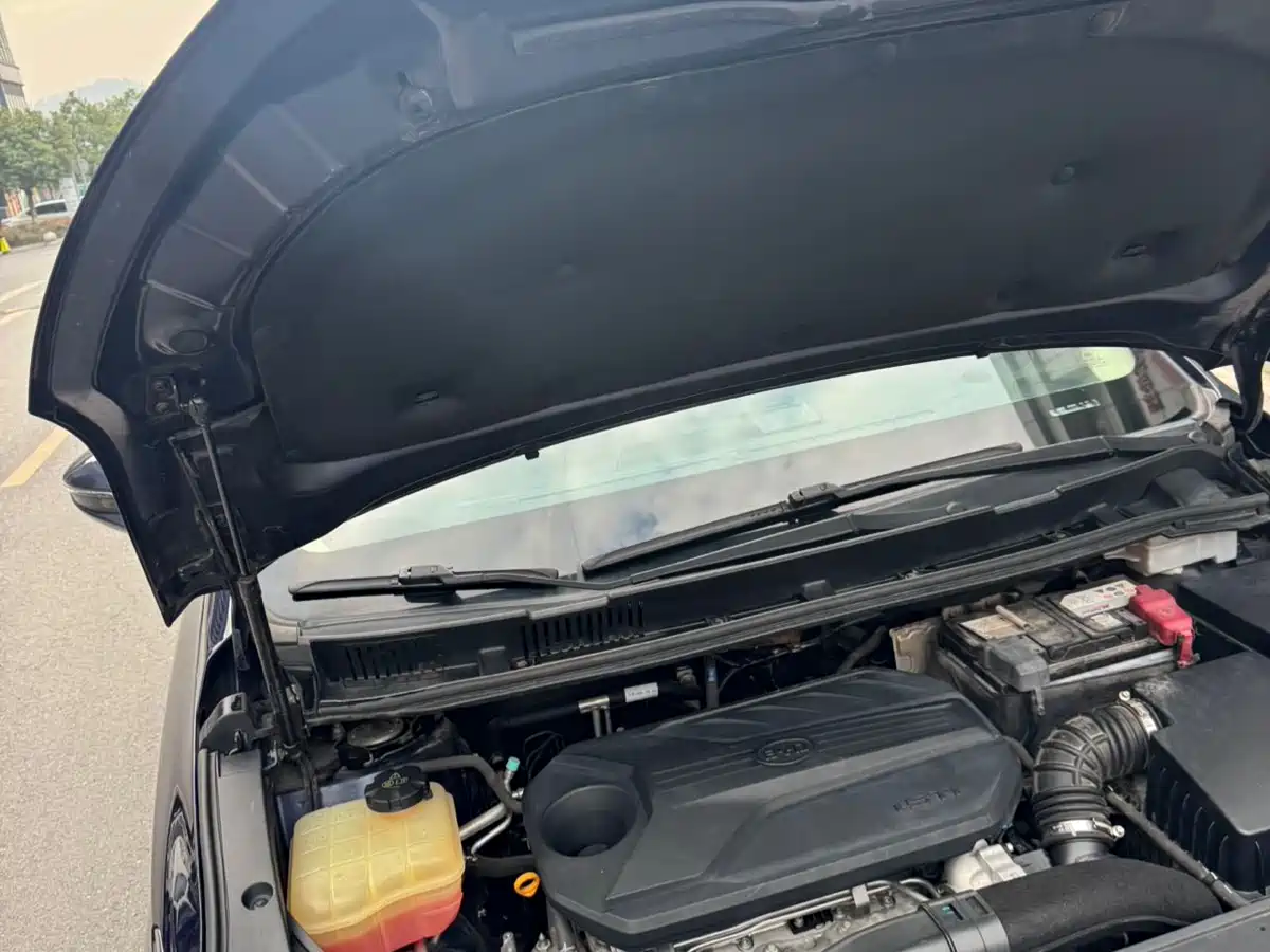BYD Song MAX 2019 1.5T Auto Smart Connected Sunroof 7-seater China VI фото 18
