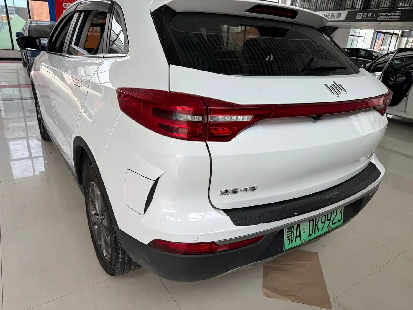 Weltmeister WEIMA EX5