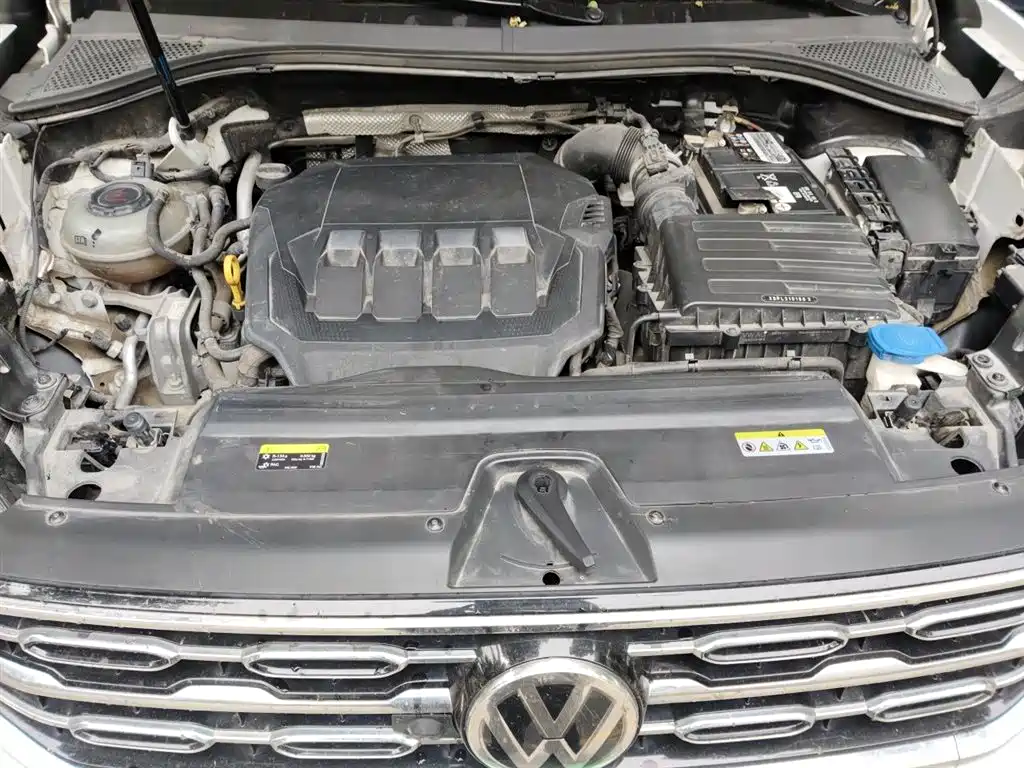 VOLKSWAGEN TANYUE
