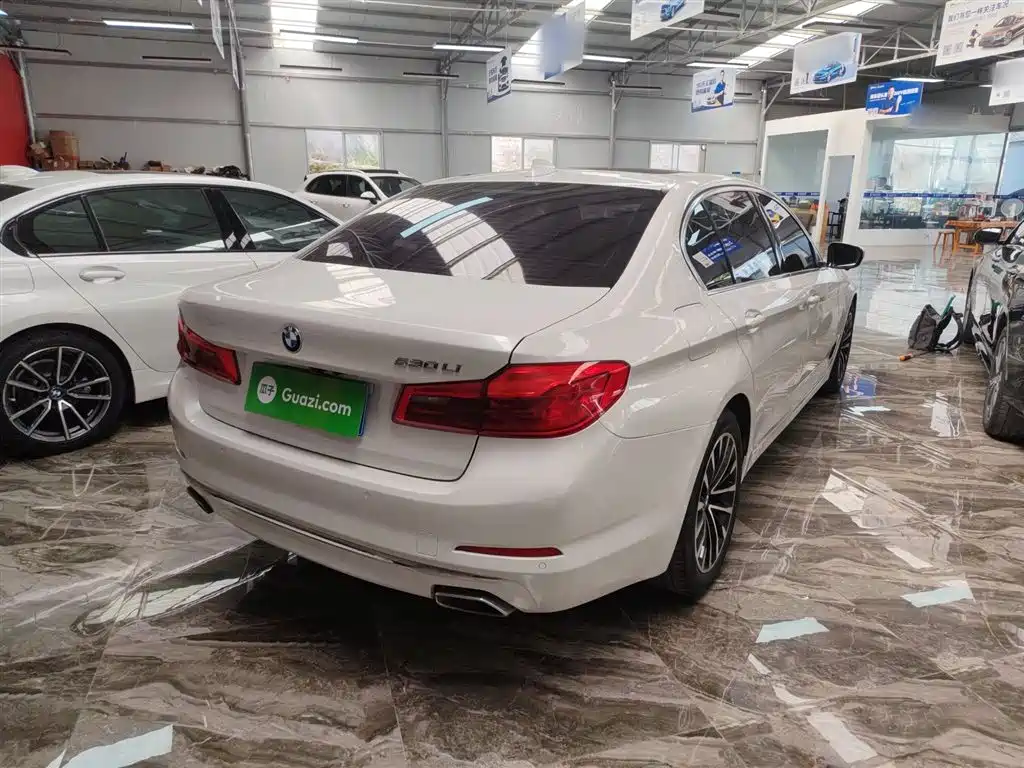 BMW 5 Series 2019 Facelift 530Li Leading Luxury Package фото 7