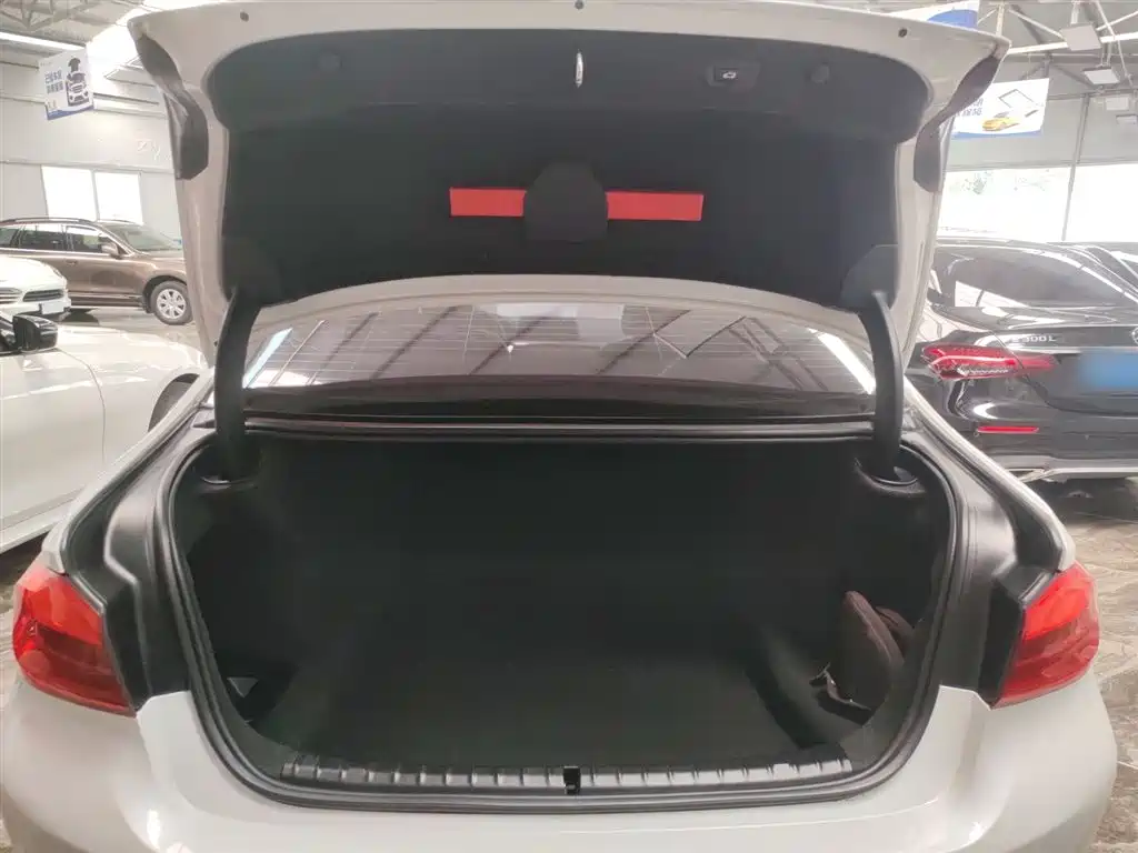 BMW 5 Series 2019 Facelift 530Li Leading Luxury Package фото 19