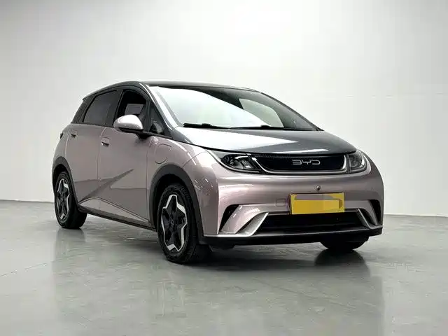 BYD Dolphin 2021 2021 Model 405km Fashion Edition
