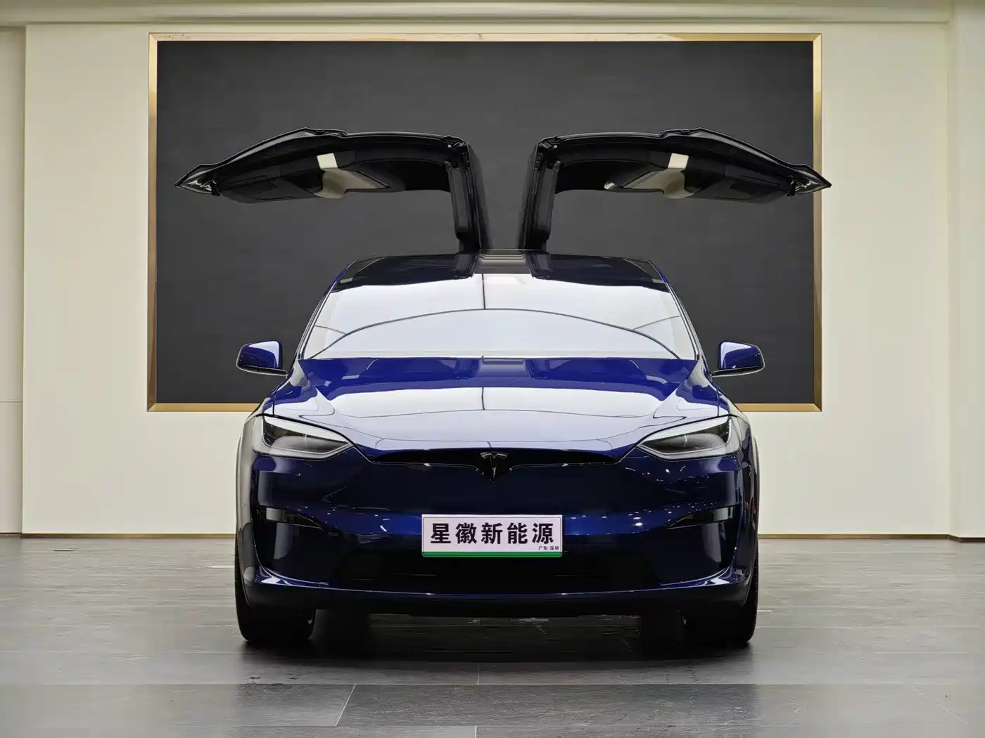 Tesla Model X 2023 Dual Motor All-Wheel Drive Edition фото 2