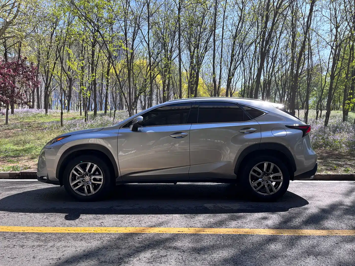 Lexus NX 2015 200t AWD F Sport фото 9