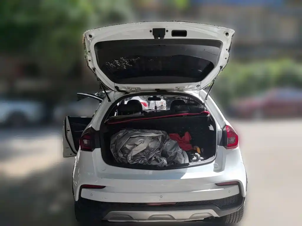 Geely Vision X3 2021 2020 1.5L CVT Premium