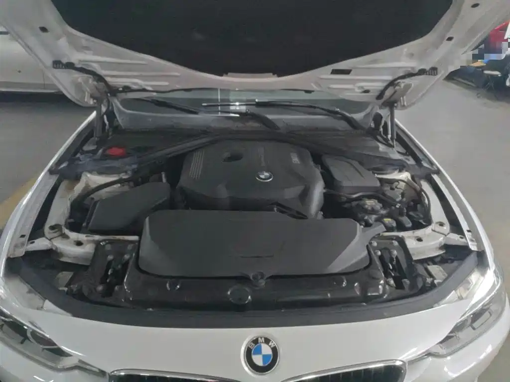 BMW 3 Series 2017 320Li Fashion фото 20