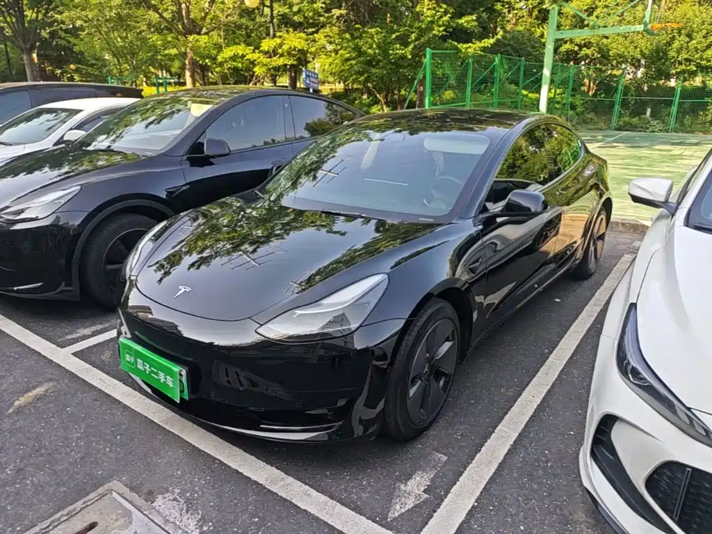 Tesla Model 3 2022 Model Rear-Wheel Drive Version