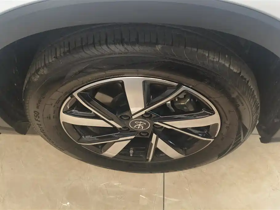 BYD Song Pro New Energy 2024 Glory Edition DM-i 71KM Leading фото 6