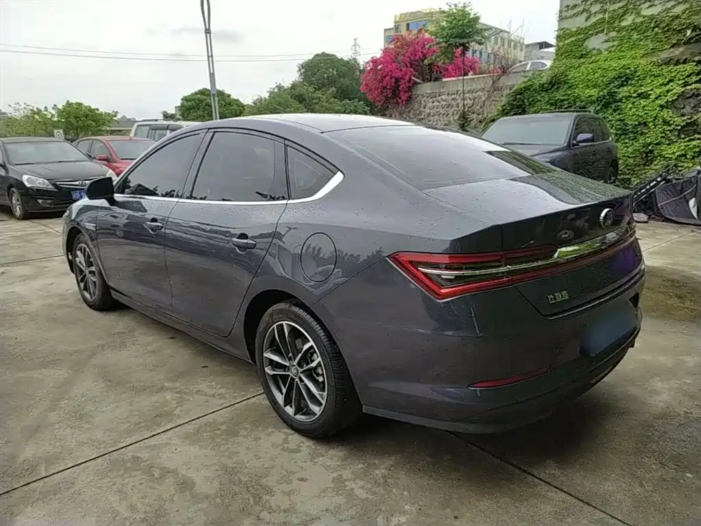 BYD Qin Pro 2020 Surpass Edition 1.5TI Automatic Flagship фото 5