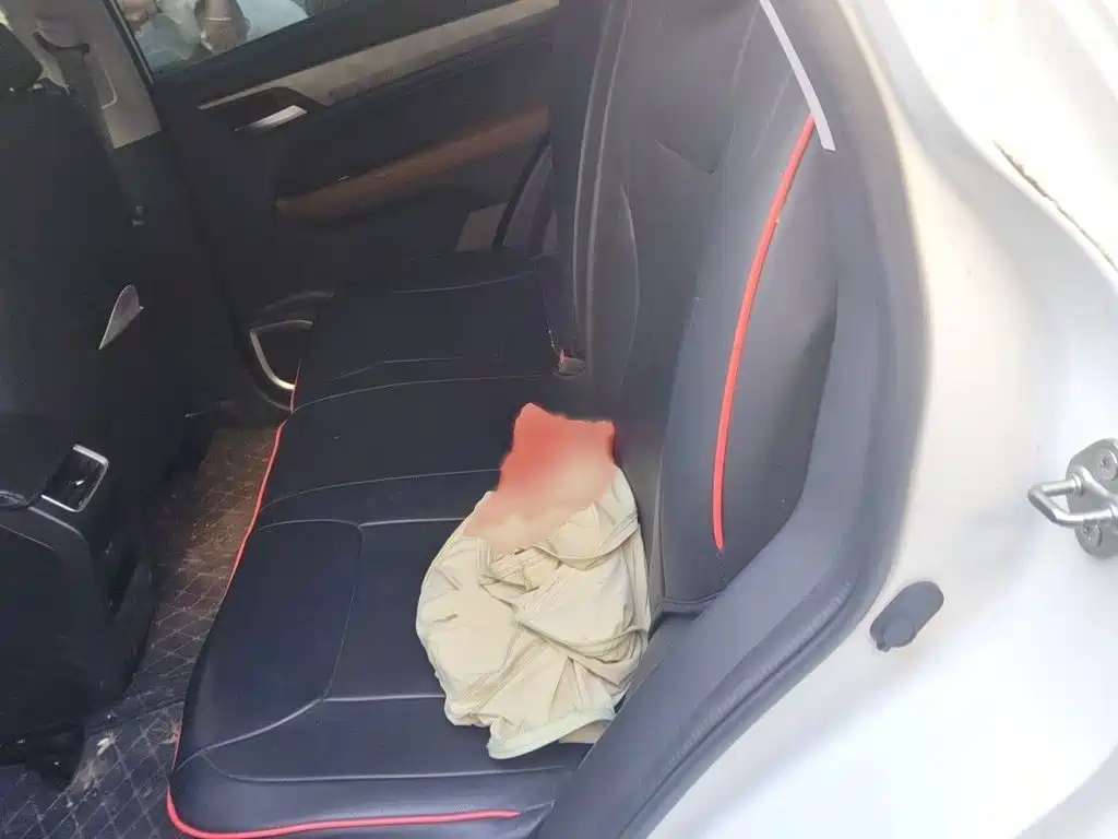 Geely Emgrand X6 2024 2021 Model PRO 1.4T Automatic Premium