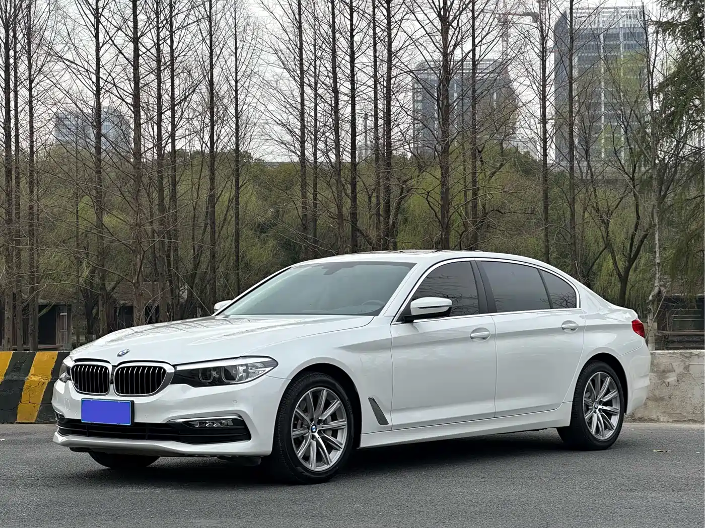 BMW 5 Series 2018 528Li Launch Special Edition