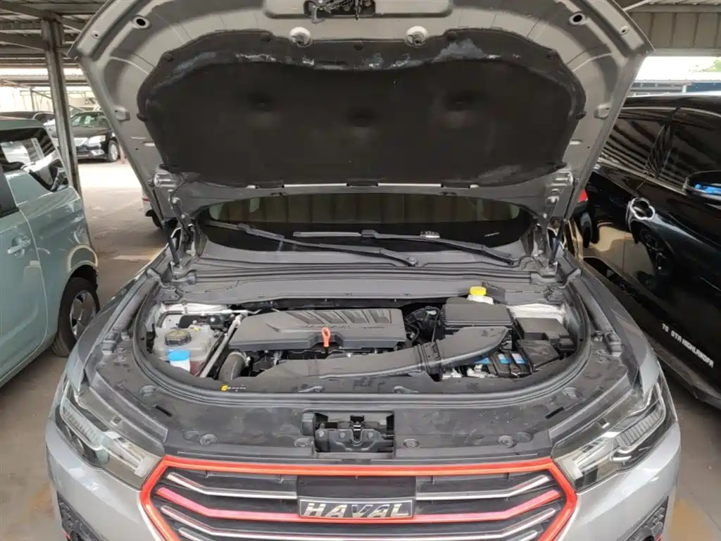Haval H4 2019 1.5GDIT Pro Edition China VI фото 20