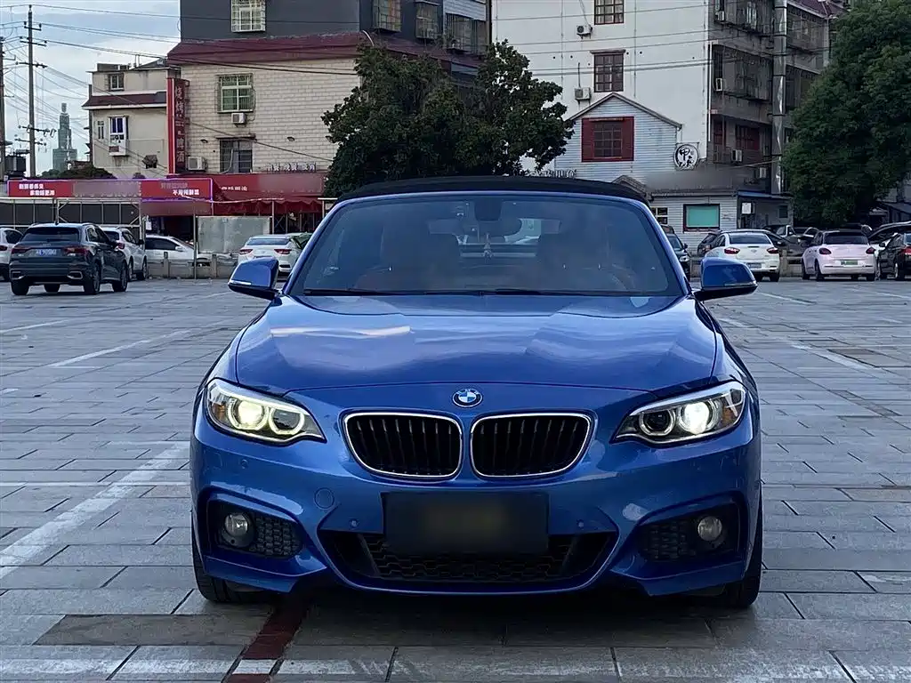 BMW 2 Series (Import) 2017 220i Convertible Coupe M Sport фото 24