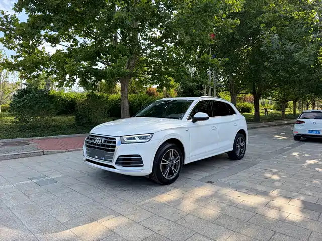 Audi Q5L Рестайлинг, 40 TFSI, Стиль