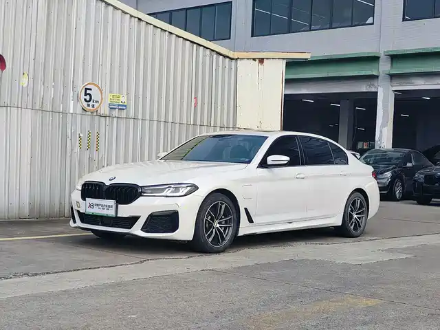 BMW 5 Series New Energy 2021