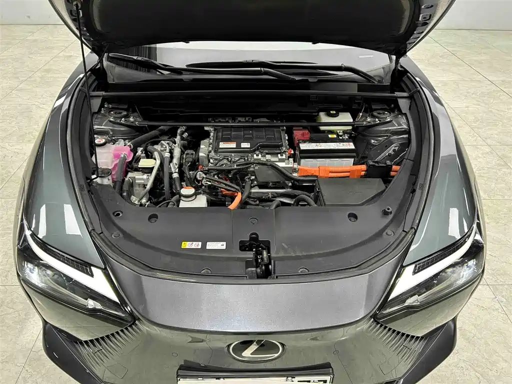 Lexus RZ 2023 450e 4WD Deluxe фото 21