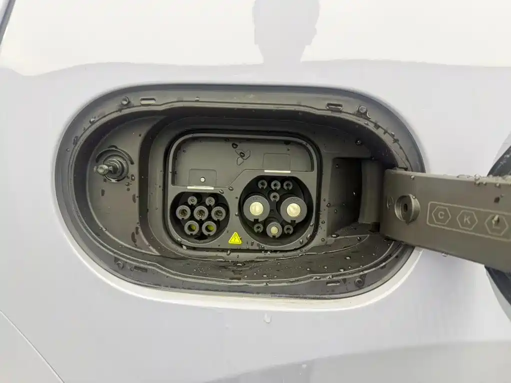 Firefly Firefly 2026 2025 Luminescent Edition