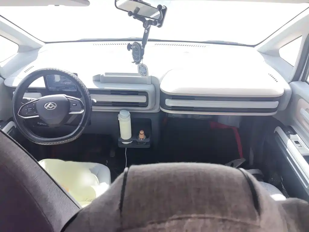 Photo 13 - Maxus Dana V1