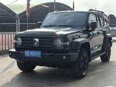 Tank 300