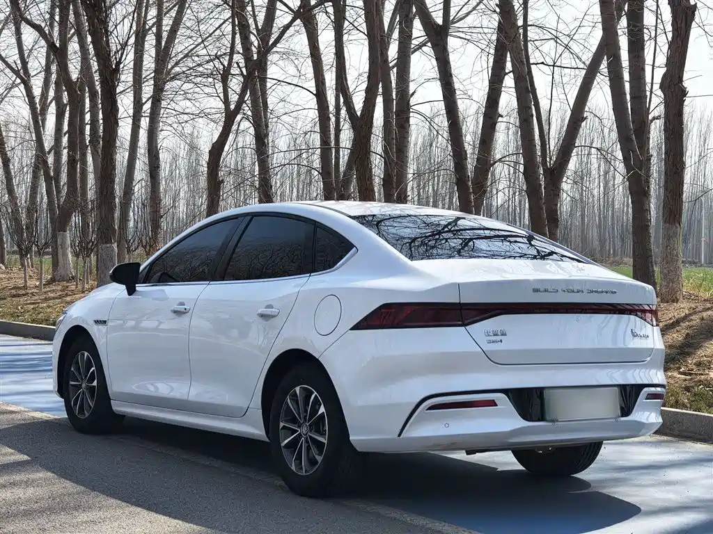 BYD Qin PLUS 2024 Glory Edition DM-i 55KM Leading фото 21