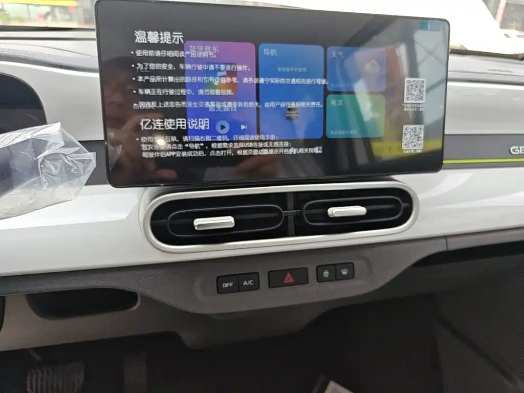 Geely Galaxy Panda 2026 2025 Panda mini 210km Vitality Bear