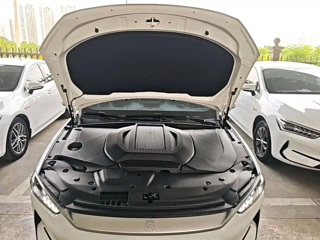 BYD Qin PLUS 2021 EV 500KM Luxury Model фото 20