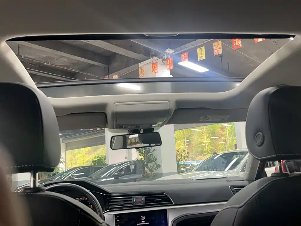 VOLKSWAGEN LINGDU