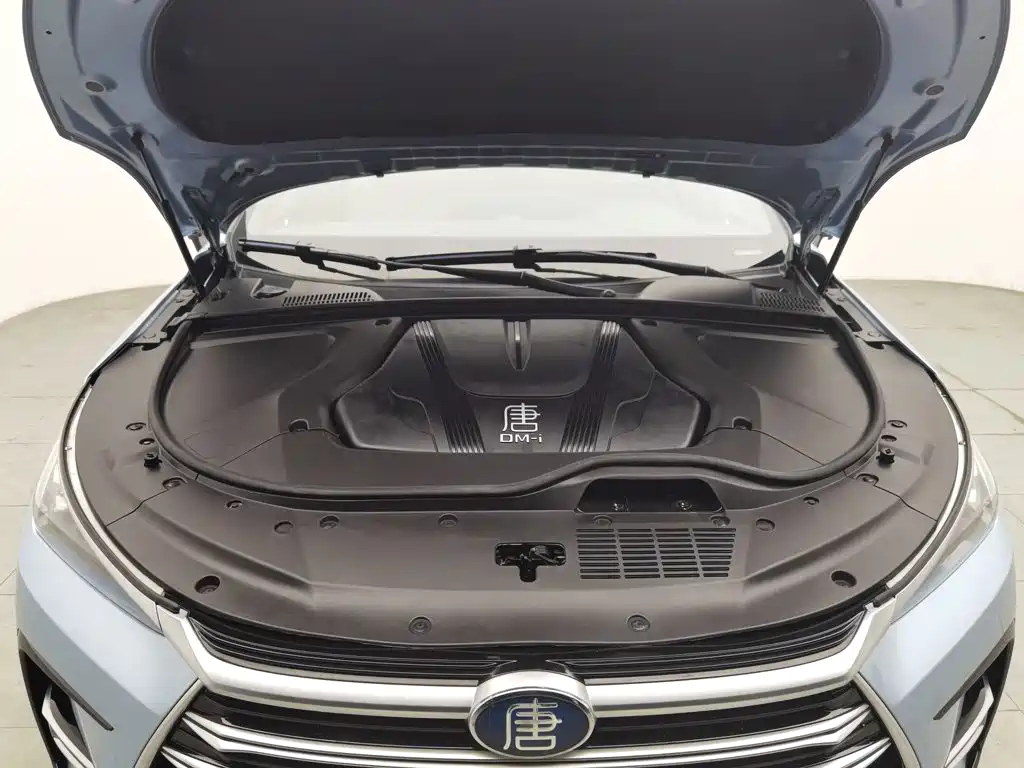 Фото 6 - BYD Tang New Energy