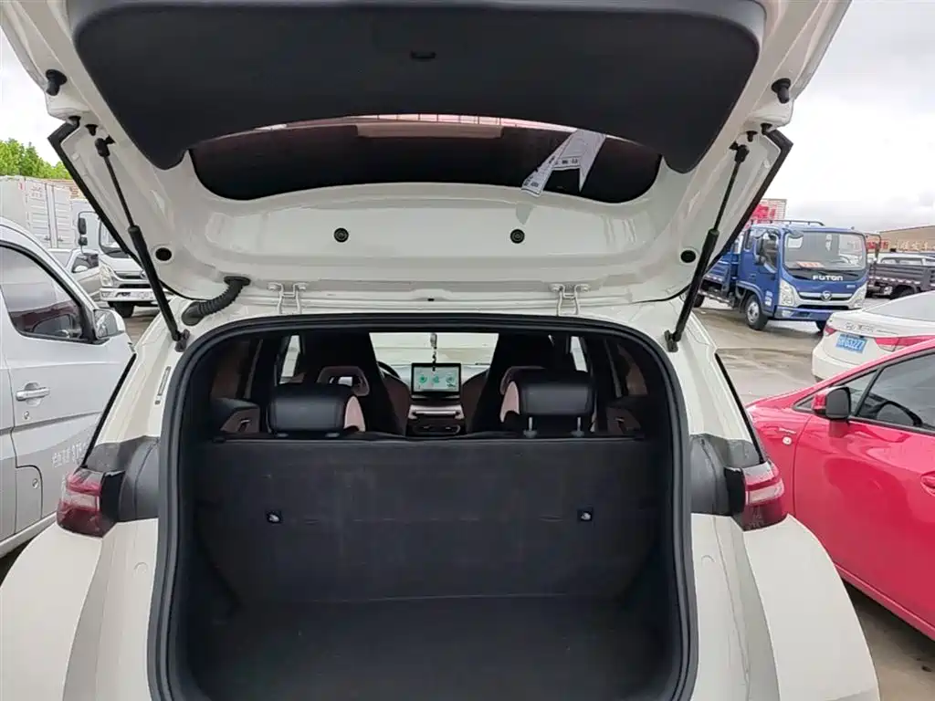 BYD Seagull 2023 Freedom Edition фото 19
