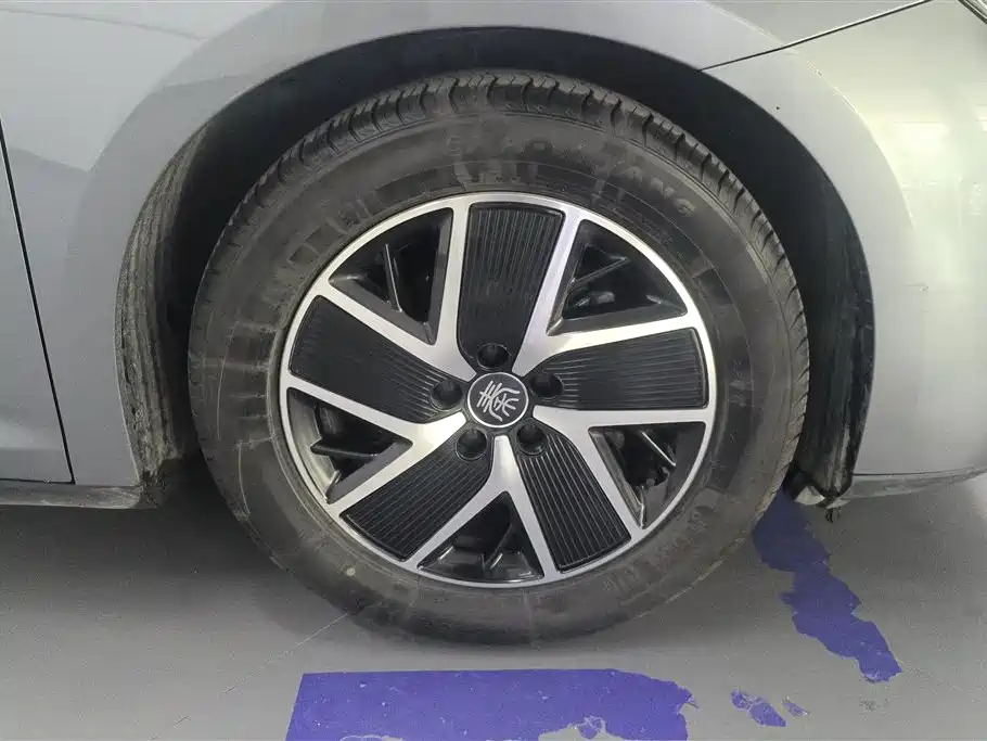BYD Qin L 2024 DM-i 80KM Superior фото 6
