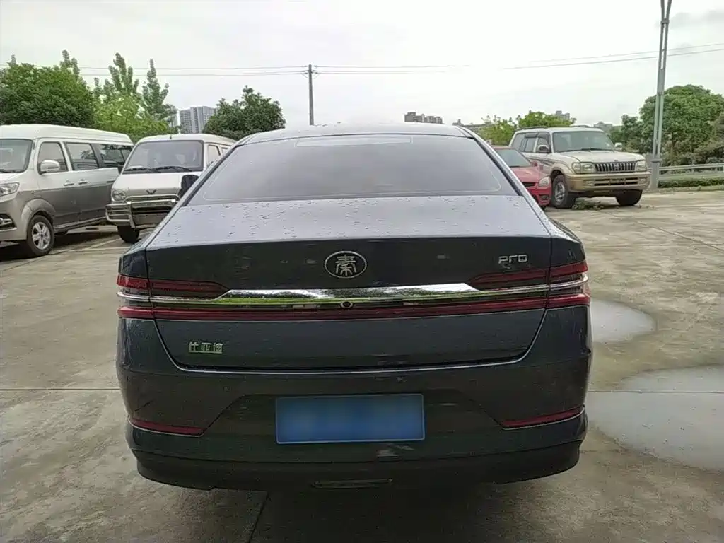 BYD Qin Pro 2020 Surpass Edition 1.5TI Automatic Flagship фото 6