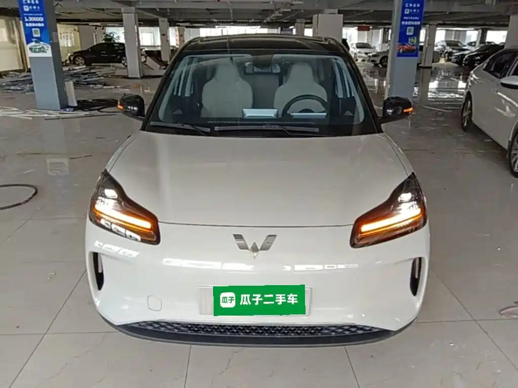Фото 3 - Wuling Motors Wuling Binguo PLUS