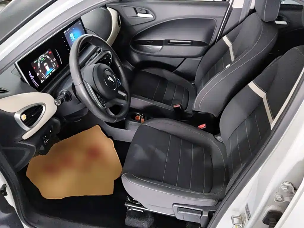 Ora White Cat 2022 2022 Upgraded 305km Luxury (NMC)