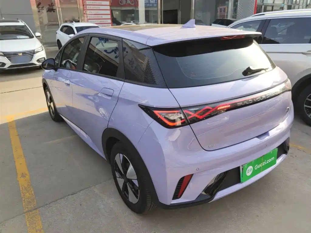 BYD Dolphin 2025 420km Fashion Edition фото 5