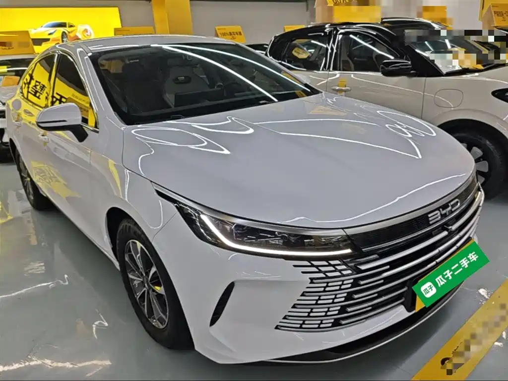 BYD Destroyer 05 2024 Glory Edition DM-i 55KM Luxury фото 4