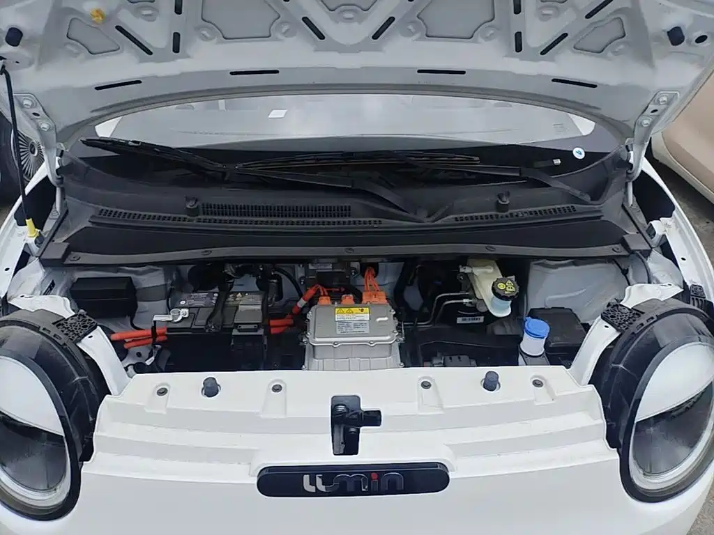 Changan Qiyuan Changan Lumin 2026 2026 Model 205km Treasure Edition