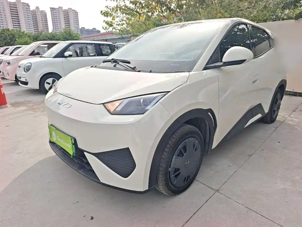 BYD Seagull 2026 2025 305km Vitality