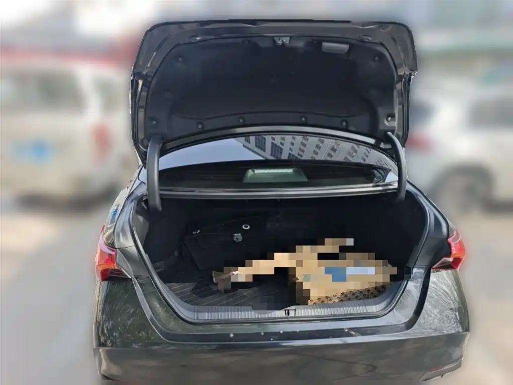 Toyota Avalon 2019 2.0L Progressive Edition (China VI) фото 10