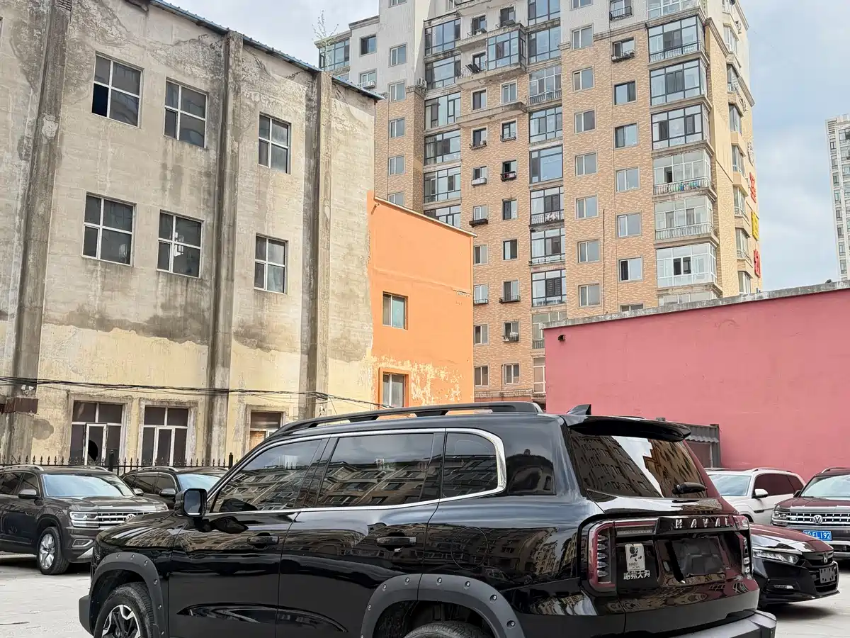 Haval Big Dog 2022 2.0T DCT 4WD Chinese Rural Dog Hunting Edition фото 7