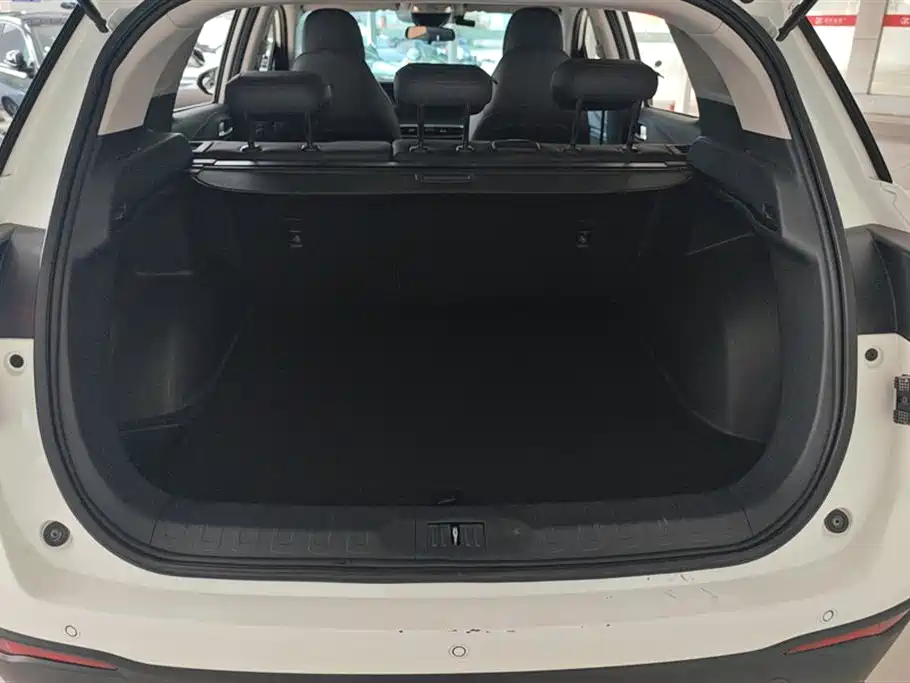 GAC Trumpchi Trumpchi GS4 2021 270T Auto Smart Connect Tech фото 4
