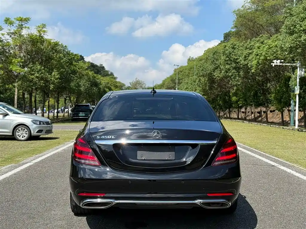 Mercedes-Benz S-Class 2018 S 450 L фото 8