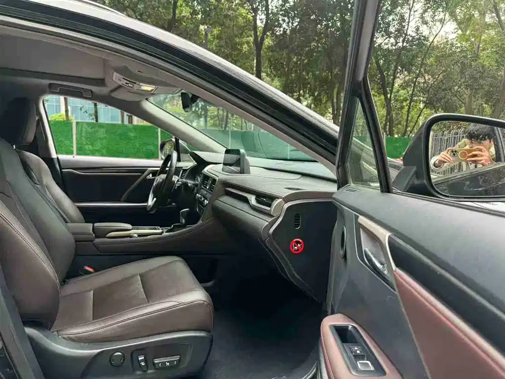 Lexus RX 2020 300 AWD F SPORT (China VI) фото 7