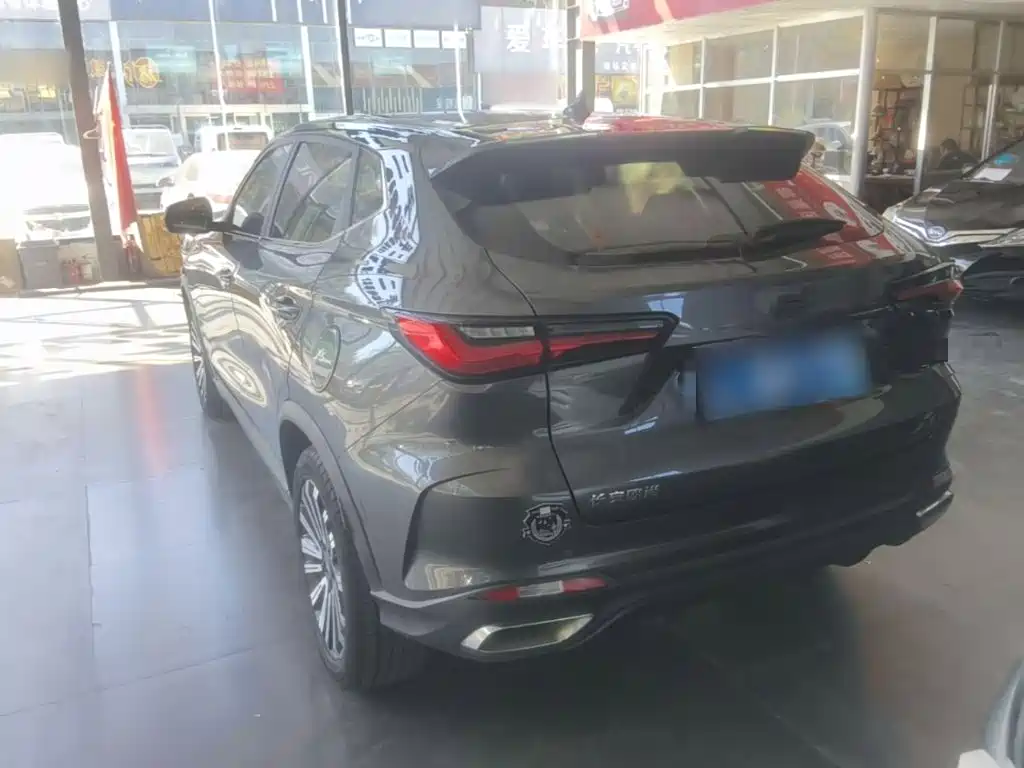 Фото 5 - Changan Oshan Changan Oushang X5