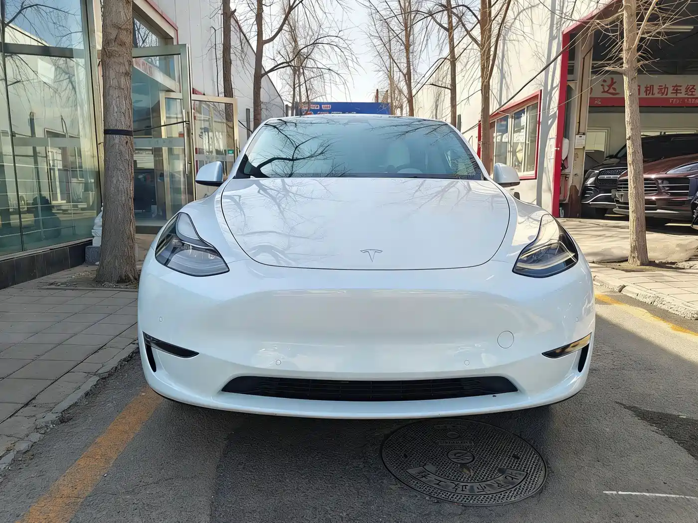 TESLA MODEL Y
