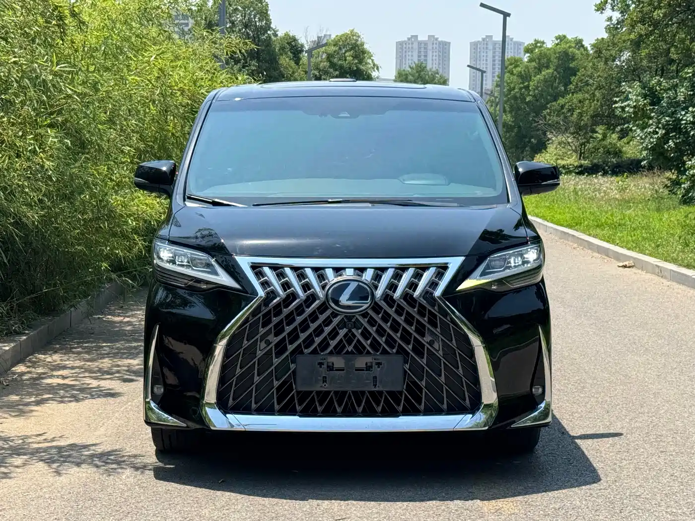 Lexus LM 2020 300h Seven-Seater Elegance Edition фото 2