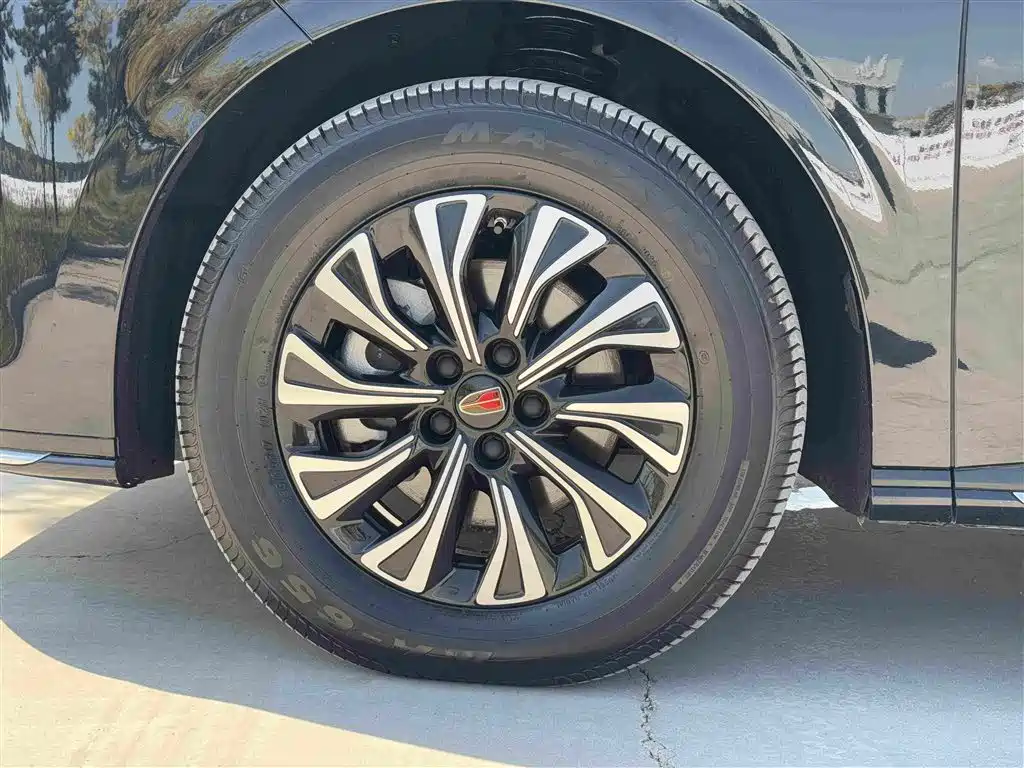 Photo 31 - Hongqi HQ9 PHEV