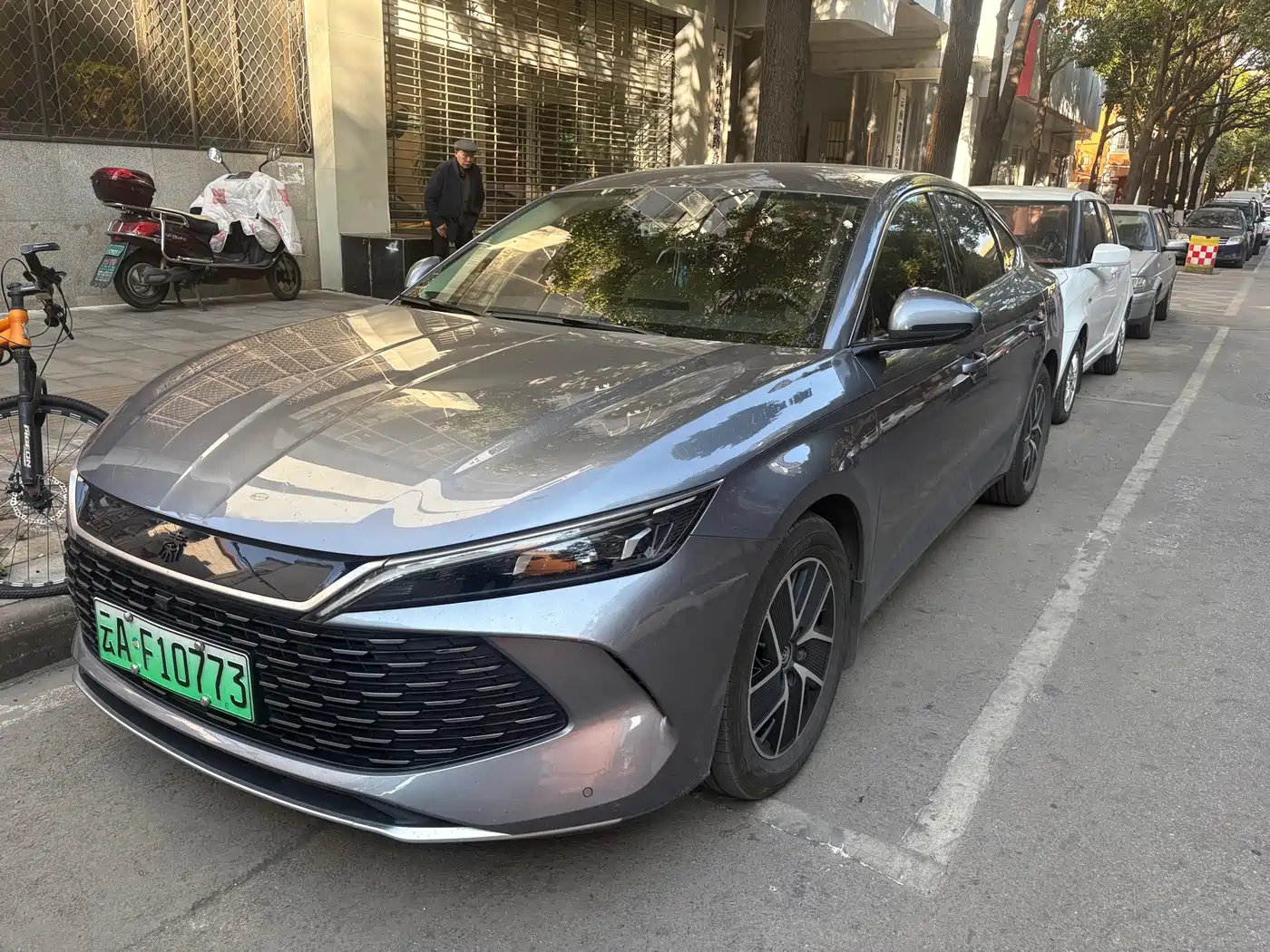 BYD QIN L