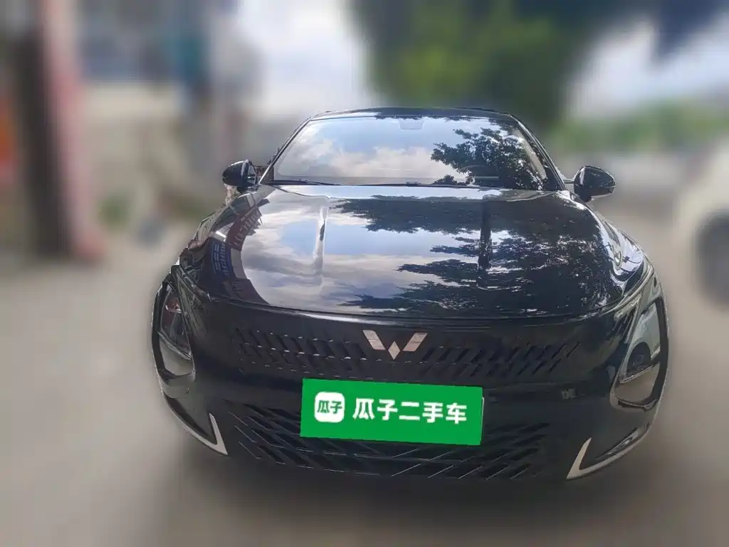 Wuling Motors Wuling Xingguang 2024 2023 150 Advanced Edition